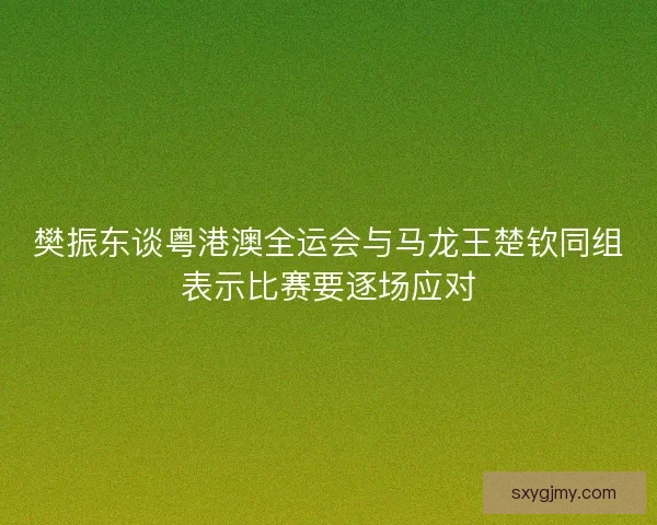 樊振东谈粤港澳全运会与马龙王楚钦同组表示比赛要逐场应对