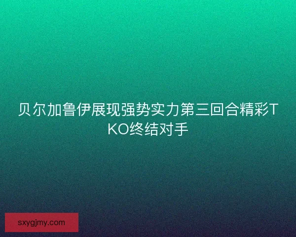 贝尔加鲁伊展现强势实力第三回合精彩TKO终结对手
