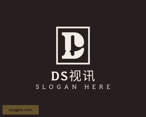 关于DS视讯